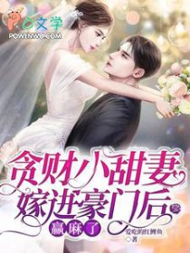 程书记的小宠妻